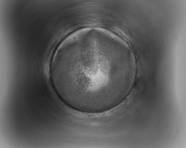 X0000092040002200709261959