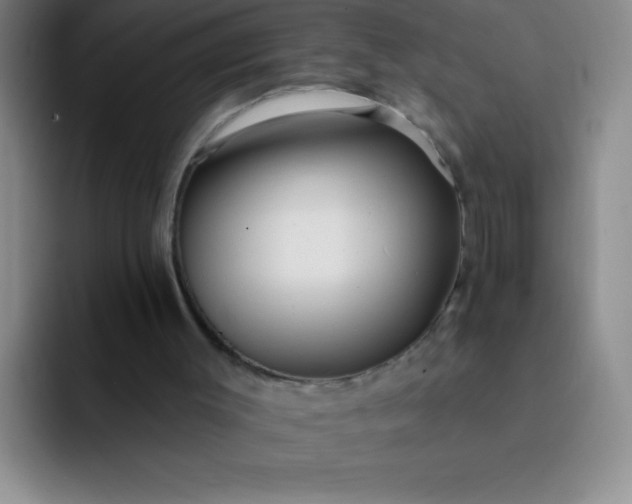 X0000092040003200709261959