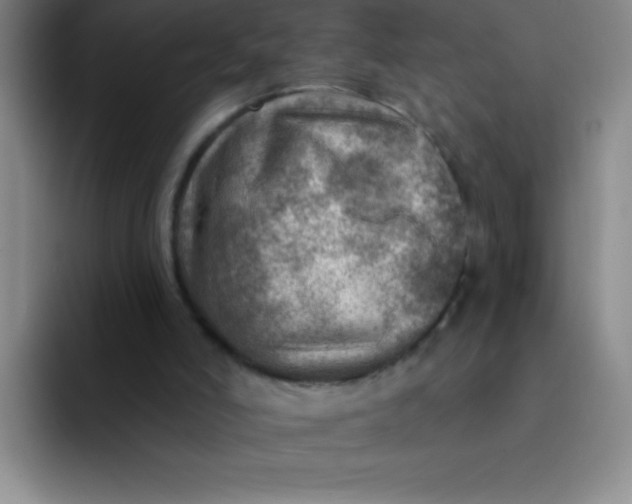 X0000092040006200709261959