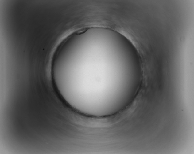 X0000092040008200709261959