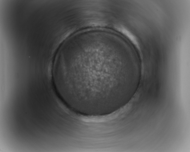 X0000092040009200709261959