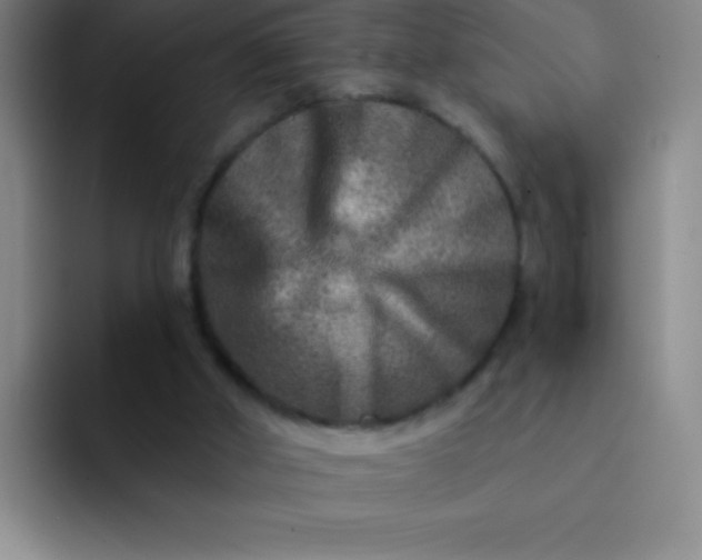 X0000092040010200709261959