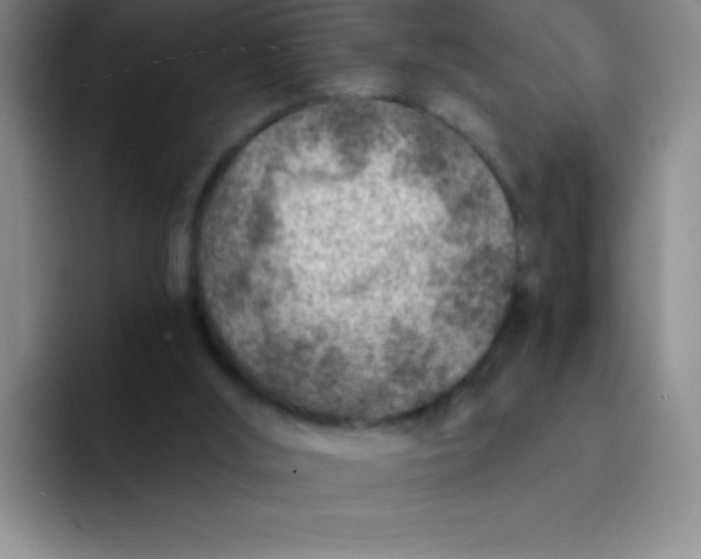 X0000092040012200709261959