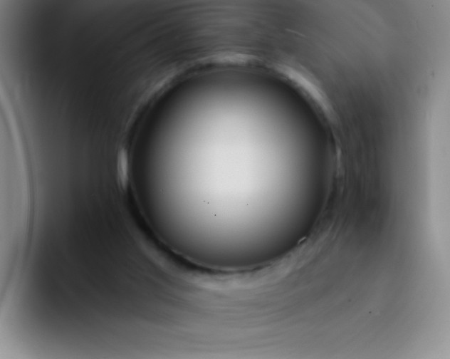 X0000092040013200709261959