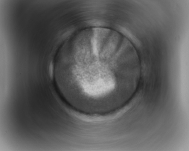 X0000092040014200709261959