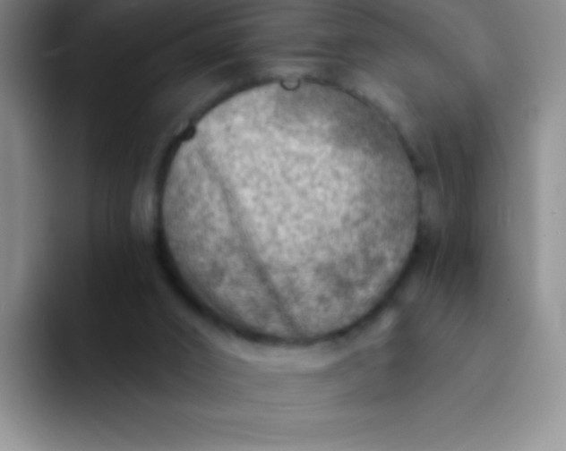 X0000092040016200709261959