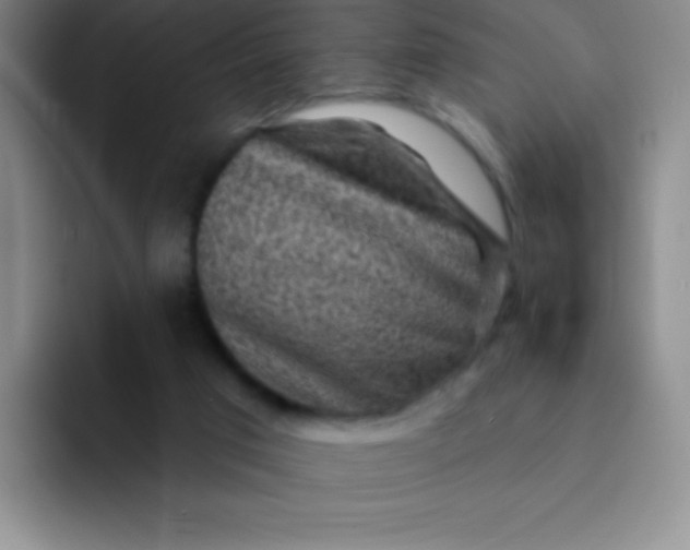 X0000092040017200709261959