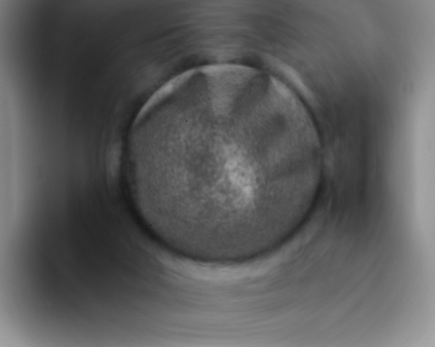 X0000092040018200709261959