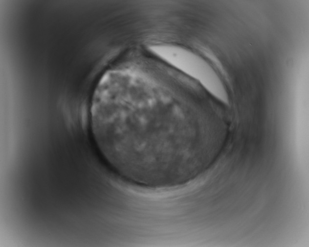 X0000092040019200709261959