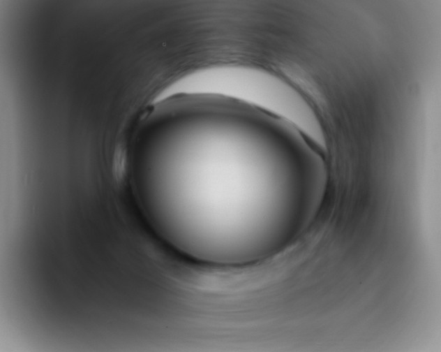 X0000092040021200709261959