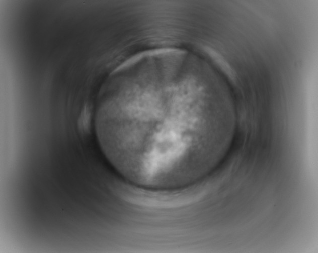 X0000092040026200709261959