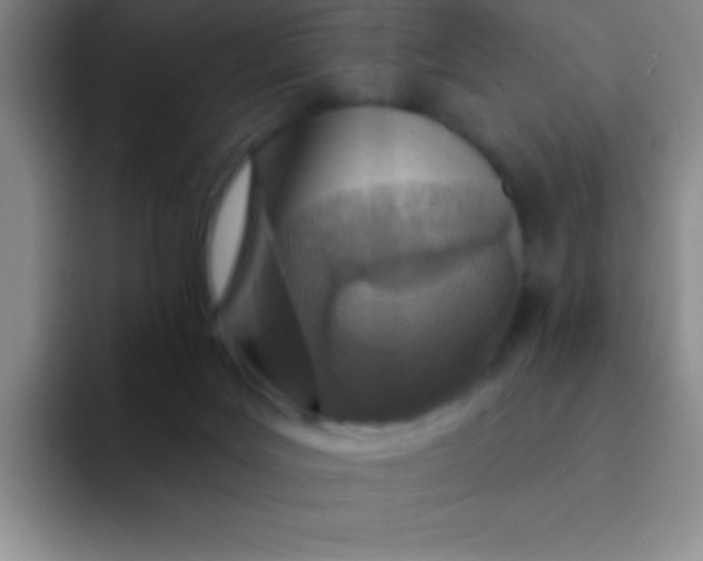 X0000092040027200709261959