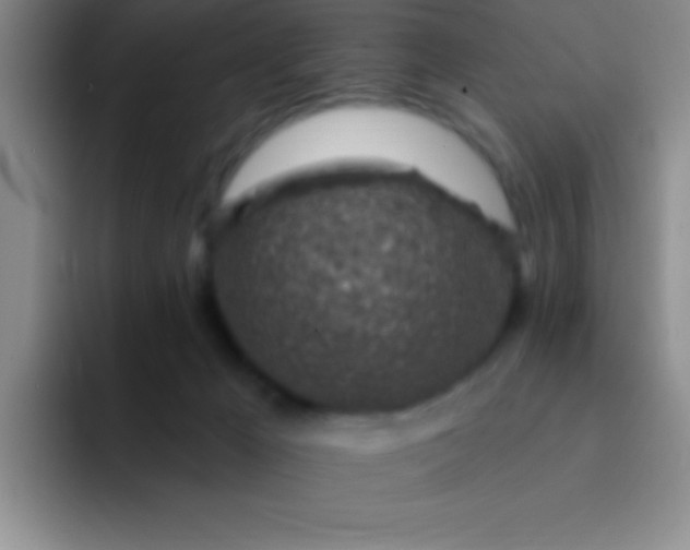 X0000092040029200709261959