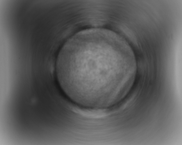 X0000092040032200709261959