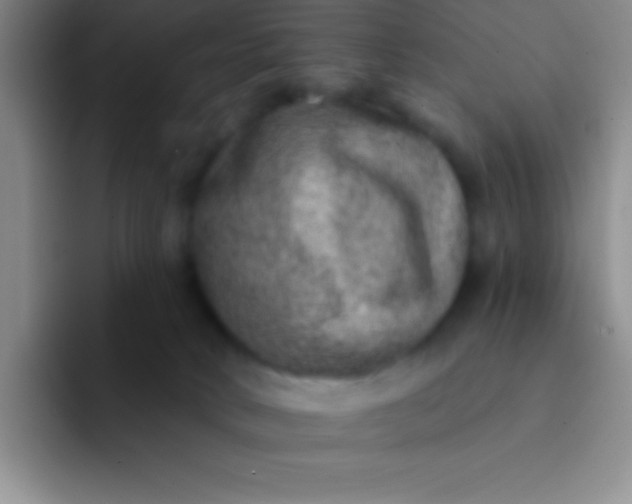 X0000092040034200709261958