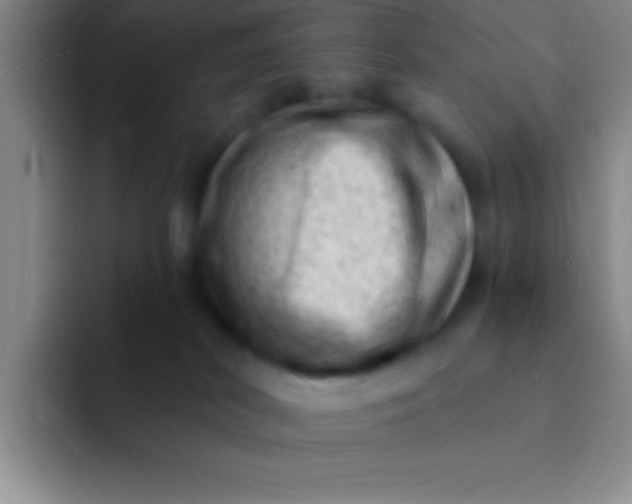 X0000092040038200709261958