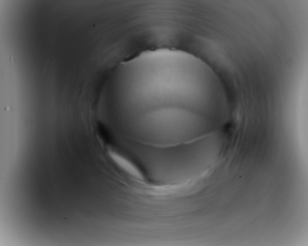 X0000092040039200709261958