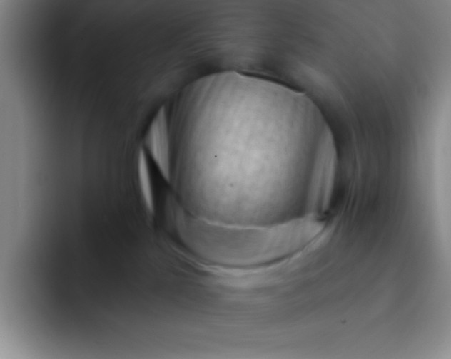 X0000092040041200709261958