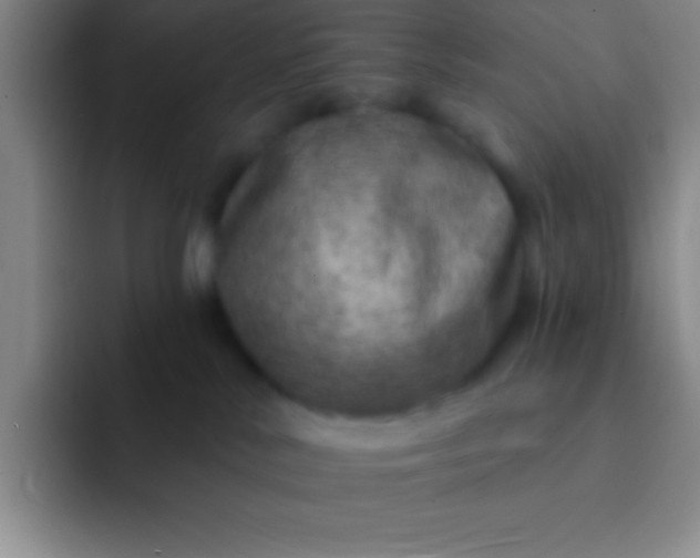 X0000092040042200709261958