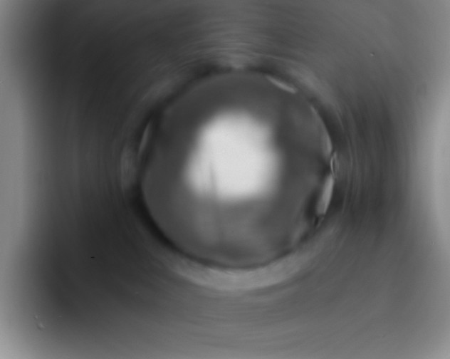 X0000092040043200709261958