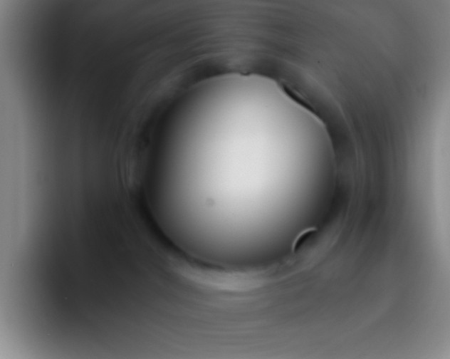 X0000092040044200709261958