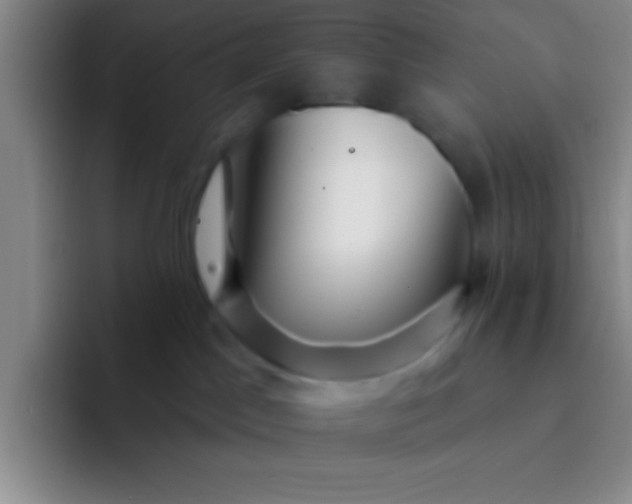 X0000092040045200709261958