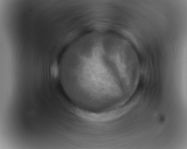 X0000092040046200709261958