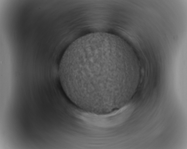 X0000092040048200709261958