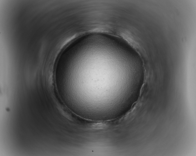 X0000092040050200709261958