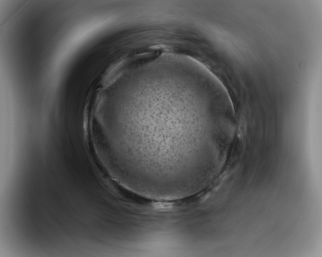 X0000092040052200709261958