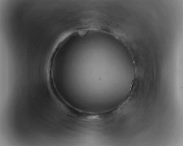 X0000092040054200709261958