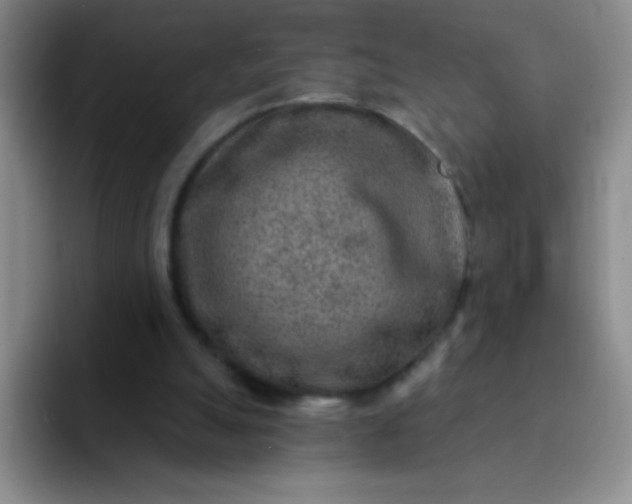 X0000092040055200709261958