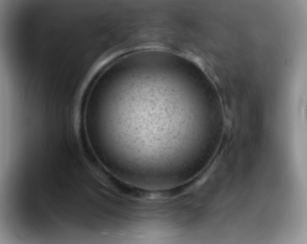 X0000092040056200709261958