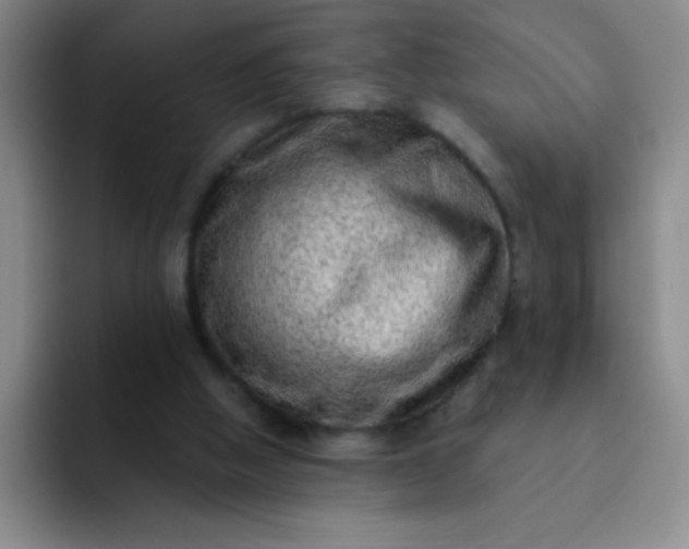 X0000092040058200709261958