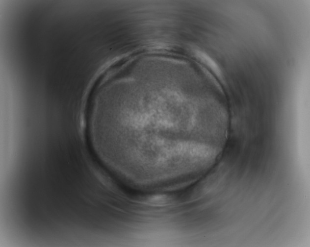 X0000092040059200709261958