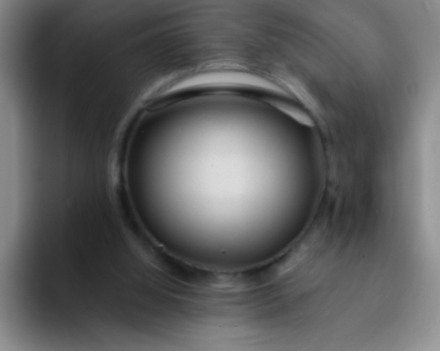 X0000092040060200709261958