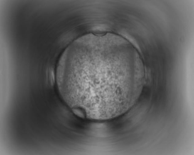 X0000092040061200709261958