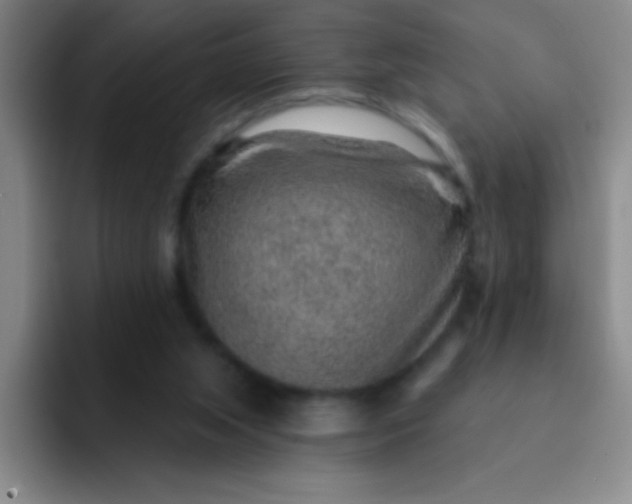 X0000092040063200709261958