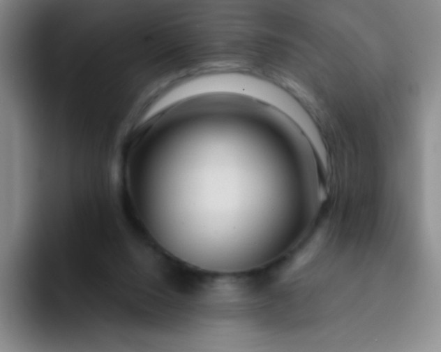 X0000092040064200709261958