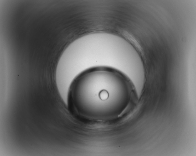 X0000092040065200709261958