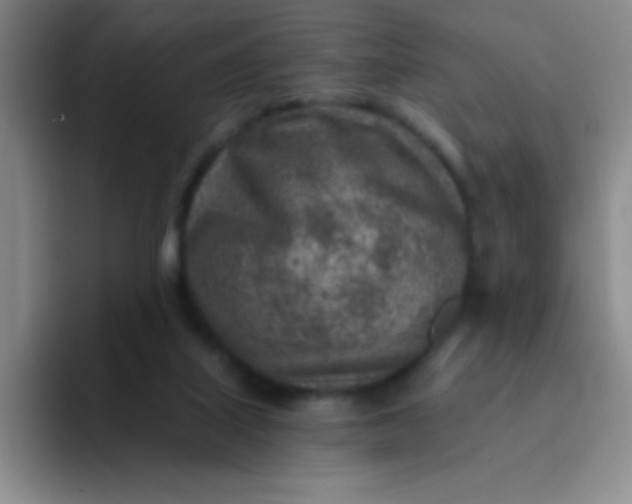 X0000092040067200709261958