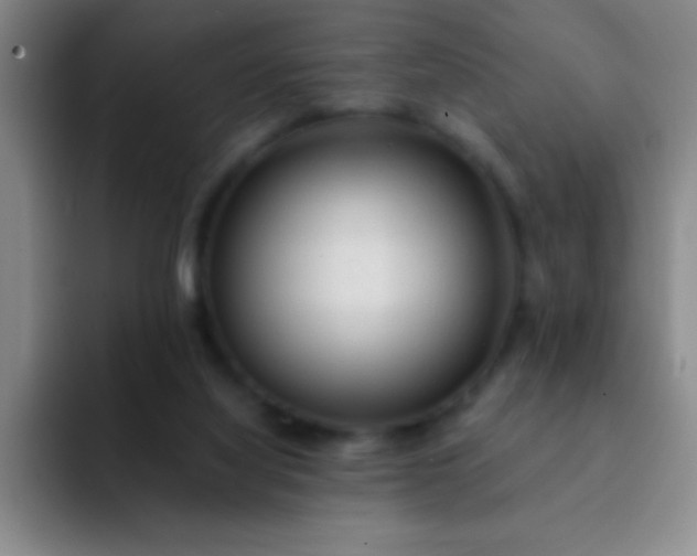 X0000092040068200709261958