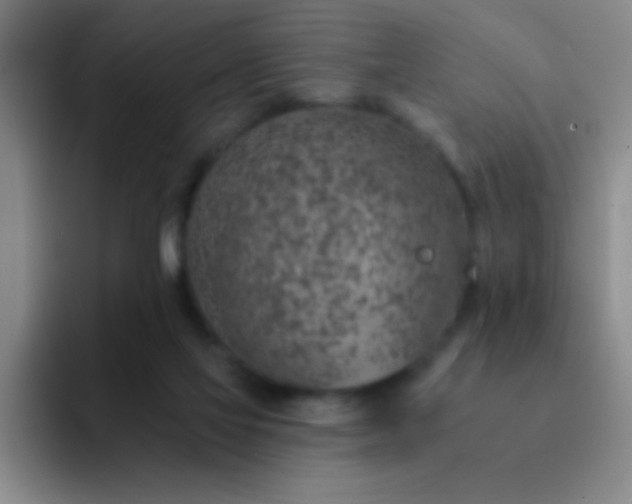 X0000092040069200709261958