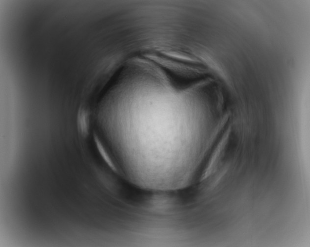 X0000092040070200709261958