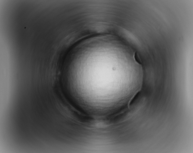 X0000092040073200709261958