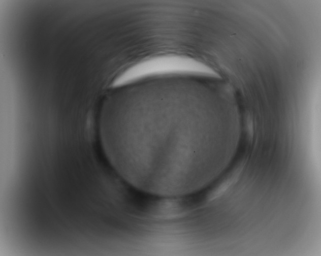 X0000092040080200709261958