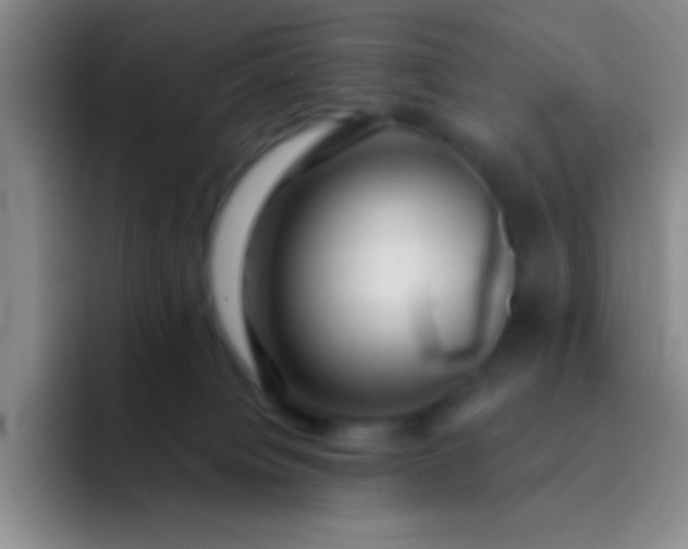 X0000092040084200709261958