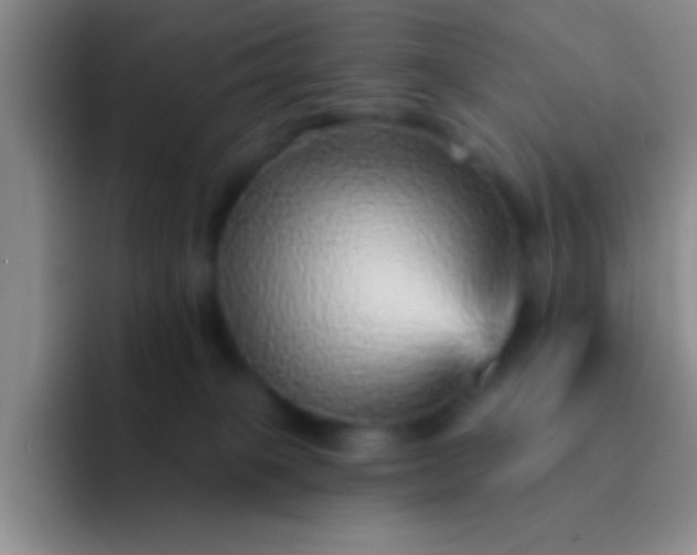 X0000092040085200709261958