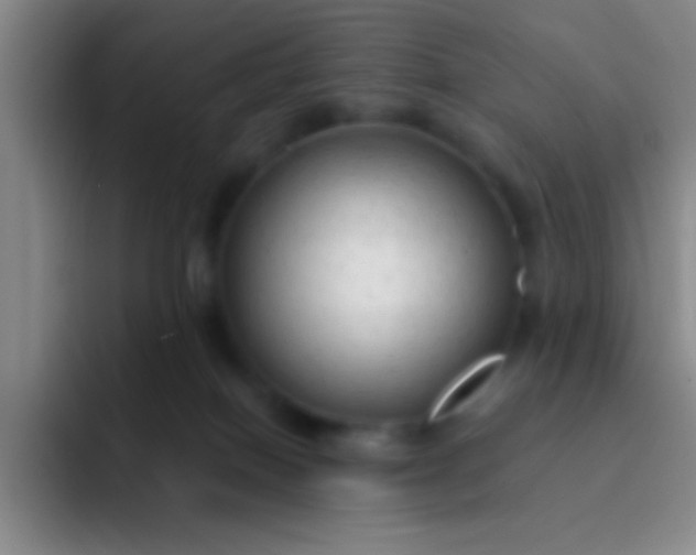 X0000092040086200709261958