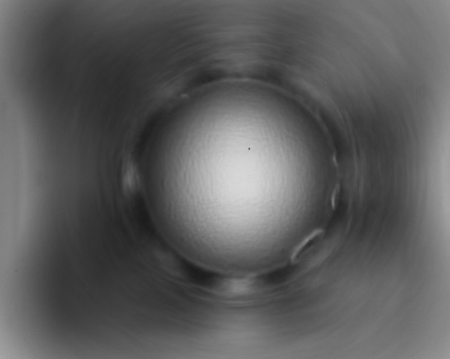 X0000092040089200709261958